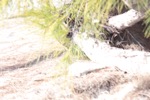 resIMG_20190704_170200_1051.JPG